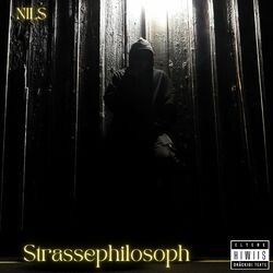 Cover of Strassephilosoph