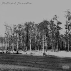 music cover