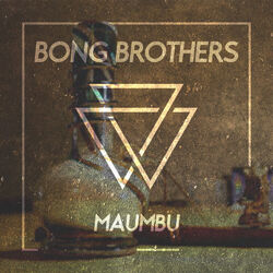 Cover of Bong Brothers