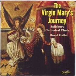 Cover of The Virgin Mary's Journey