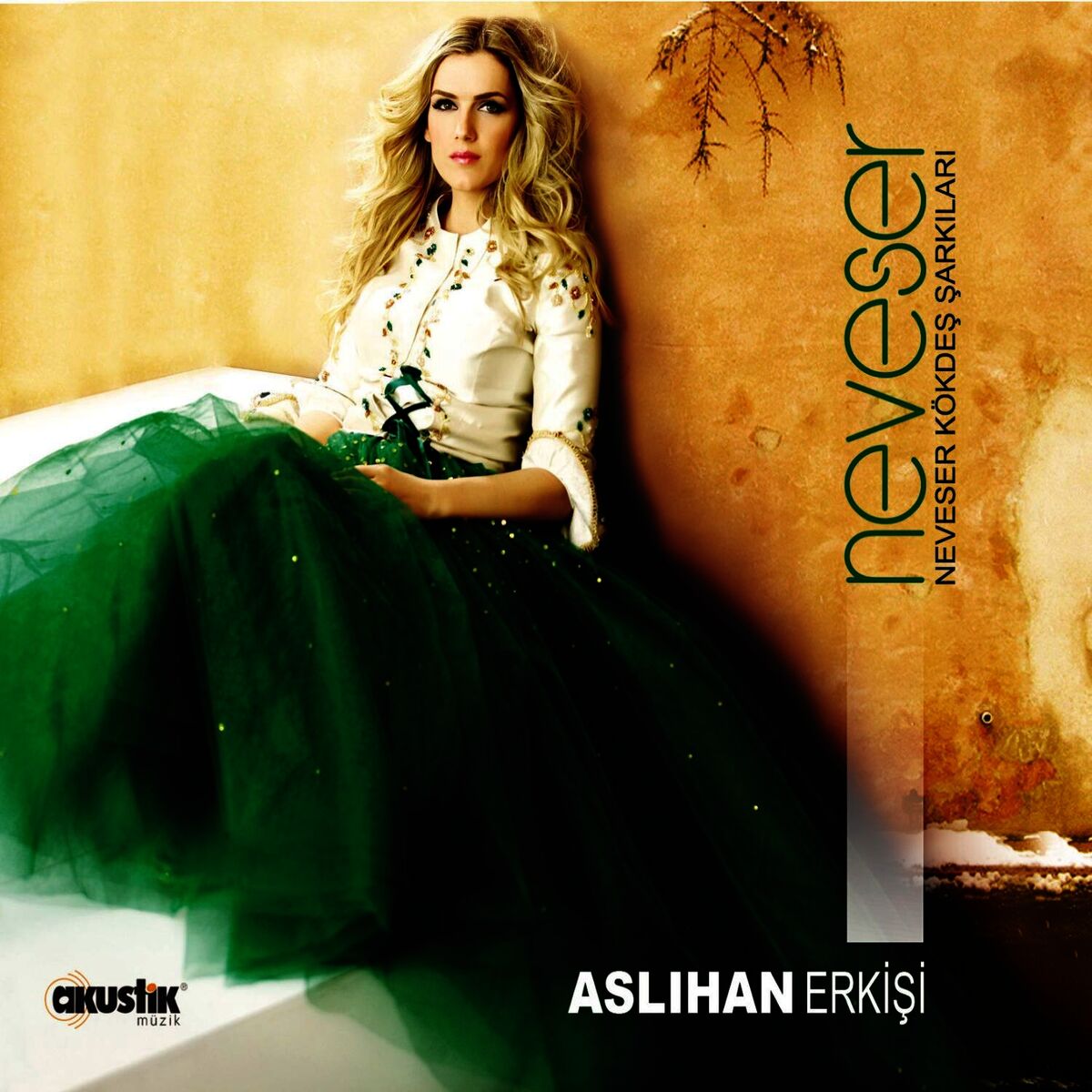 Album cover of Neveser