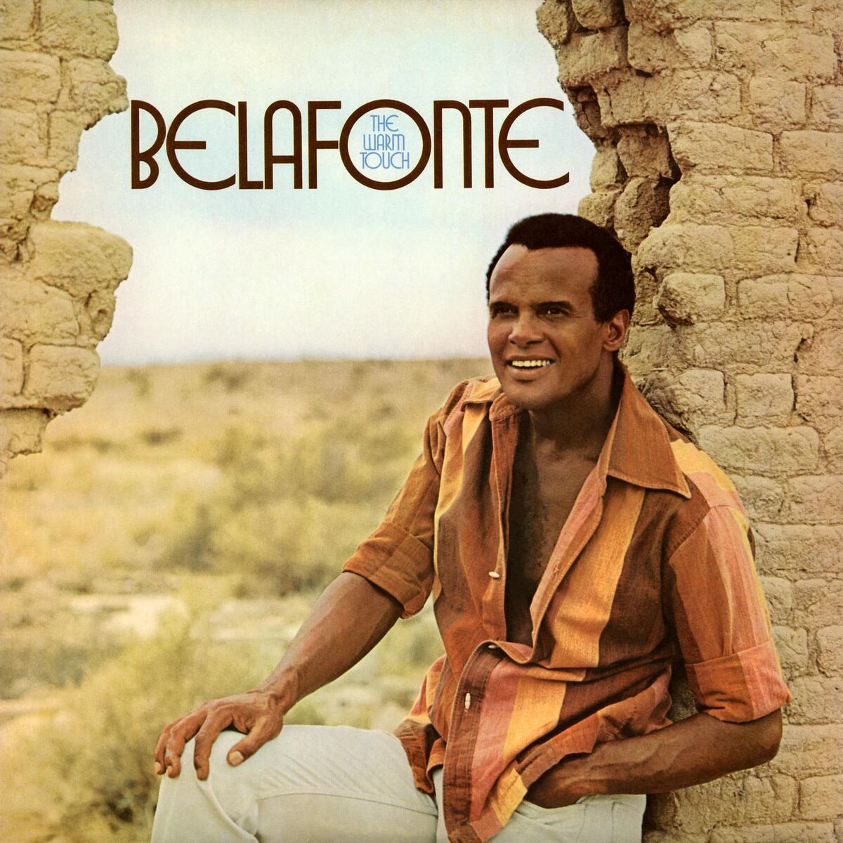 Album cover of The Warm Touch