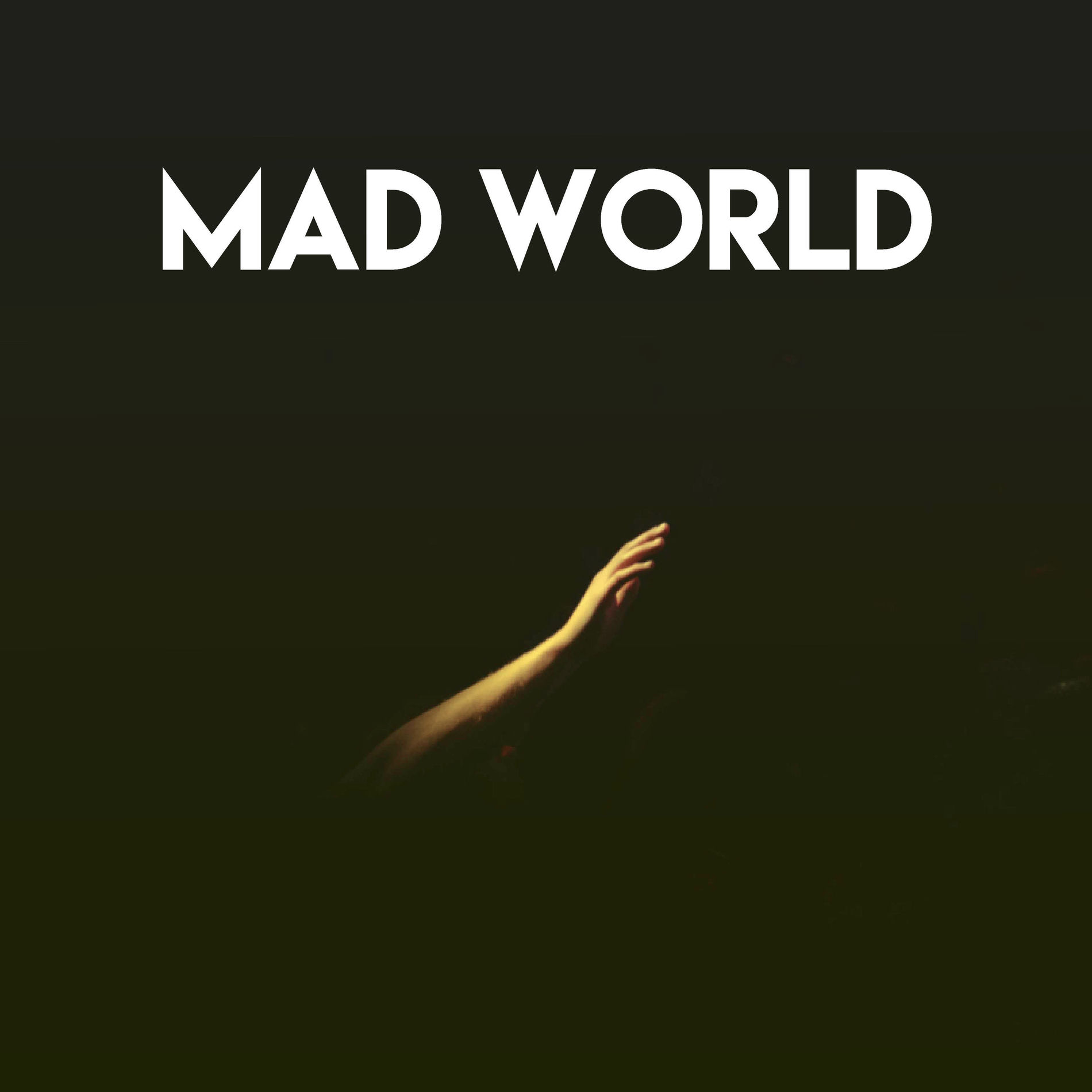 Album cover of Mad World