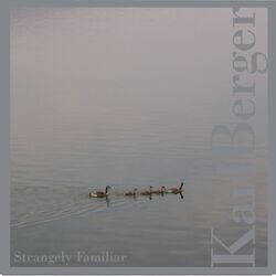 Cover of Strangely Familiar