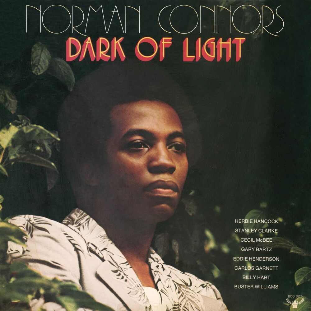 Picture of Dark of Light