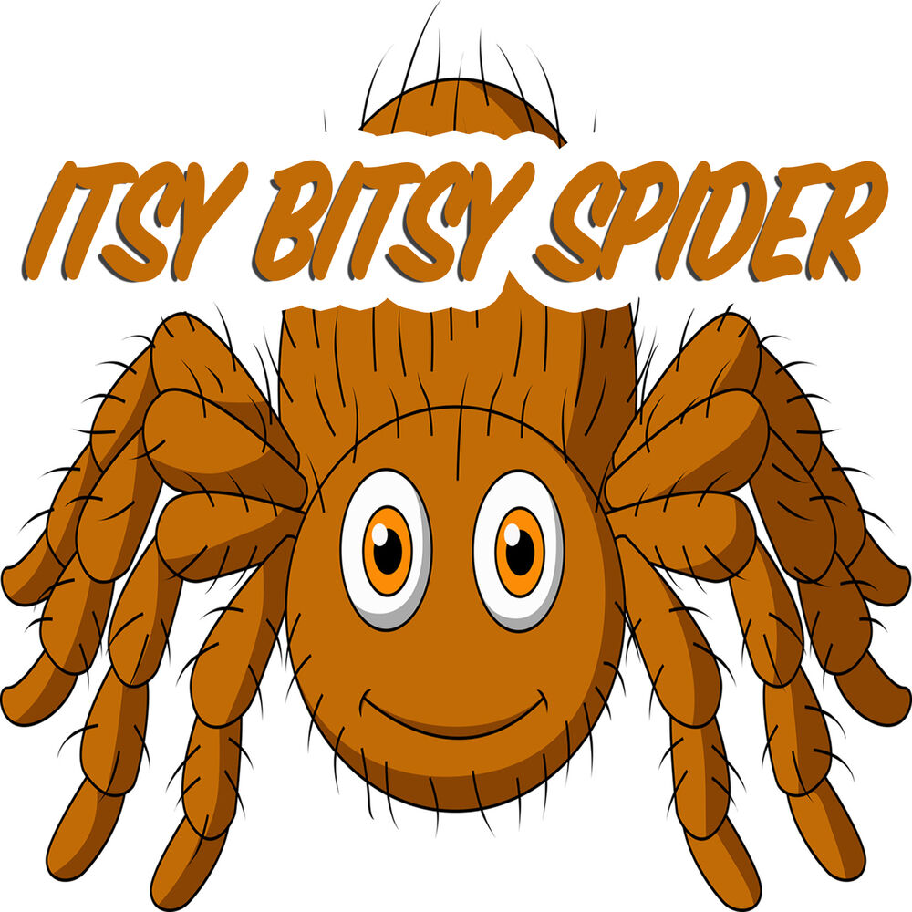 Picture of Itsy Bitsy Spider