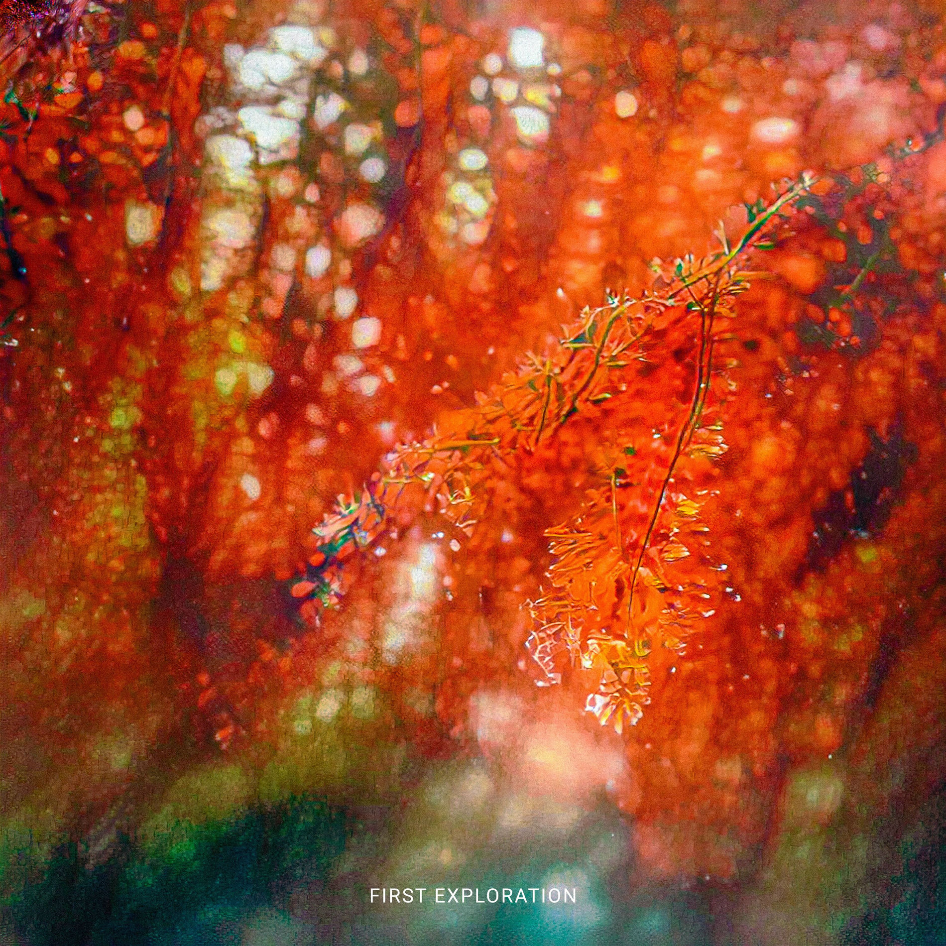Album cover of First Exploration
