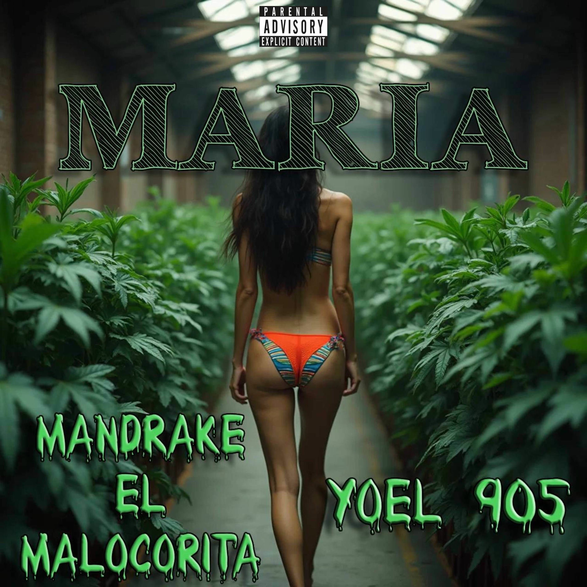 Album cover of MARIA
