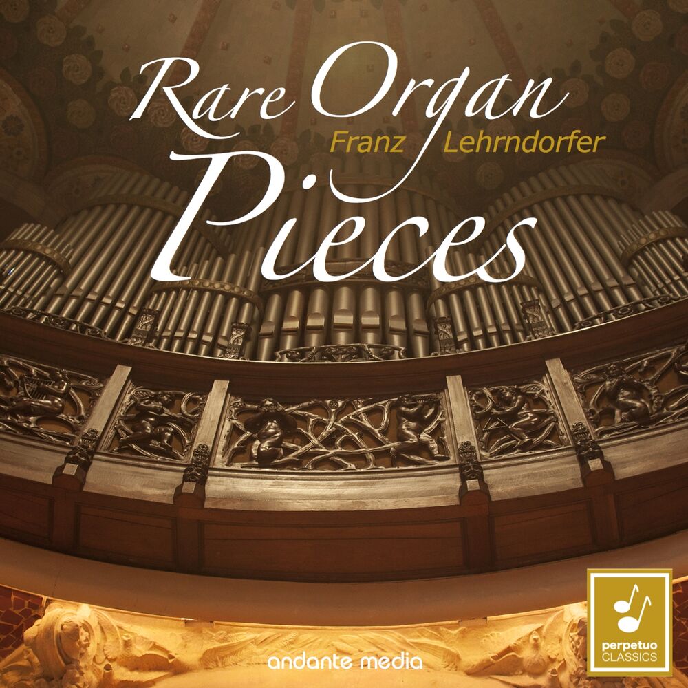 Picture of Rare Organ Pieces