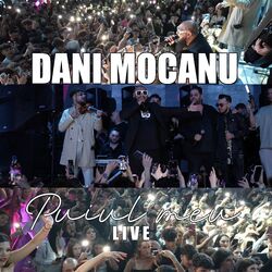 Puiul meu (Live)
