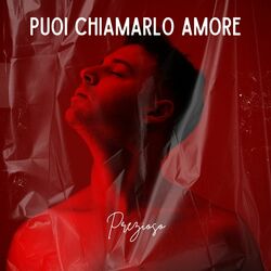 Cover of Puoi chiamarlo amore
