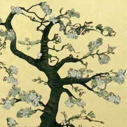 Cover of pretty