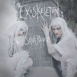 Exoskeleton