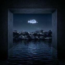 Cover of DIM