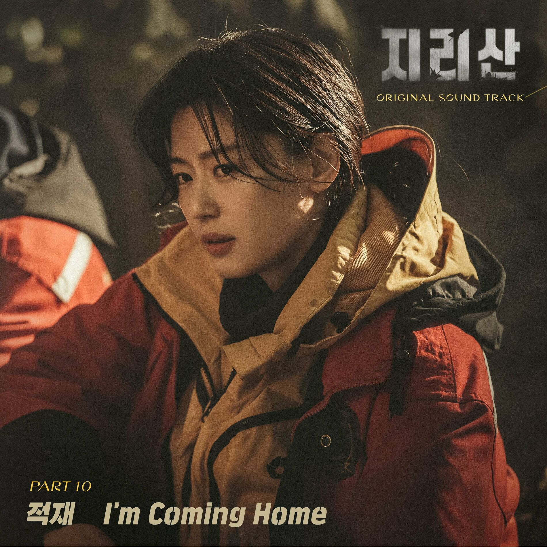 Album cover of Jirisan (Original Television Soundtrack) Pt. 10