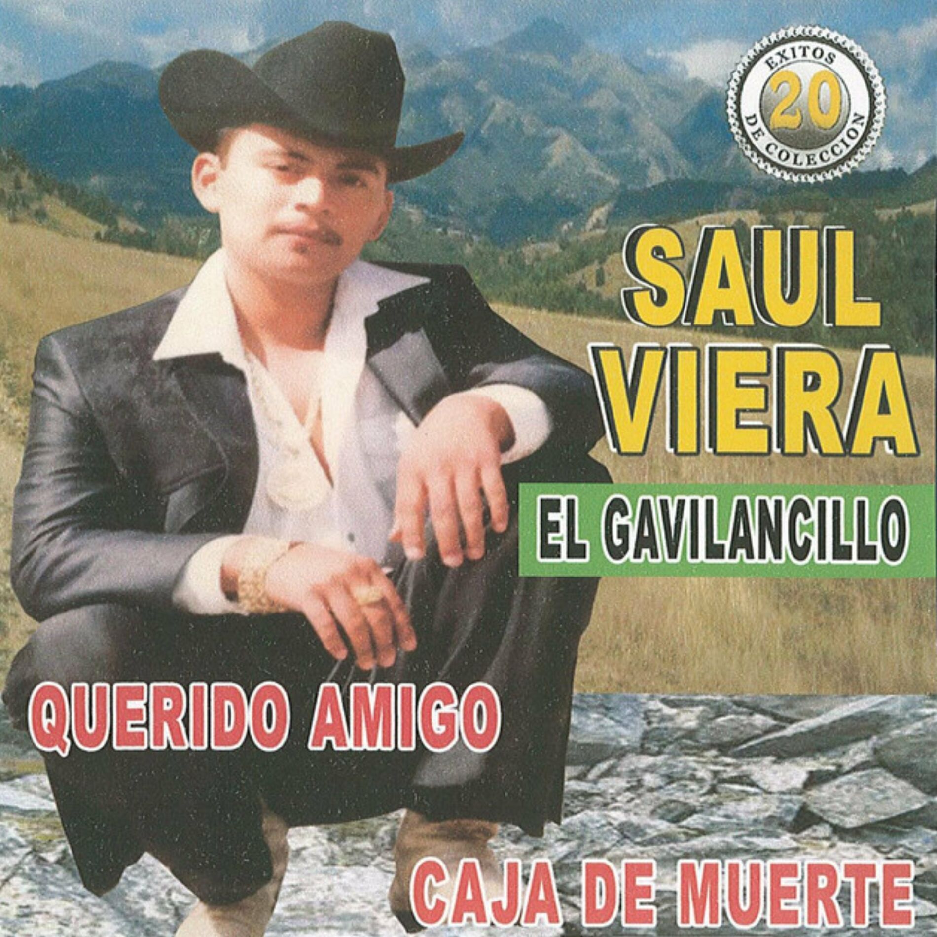 Album cover of 20 Éxitos Querido Amigo