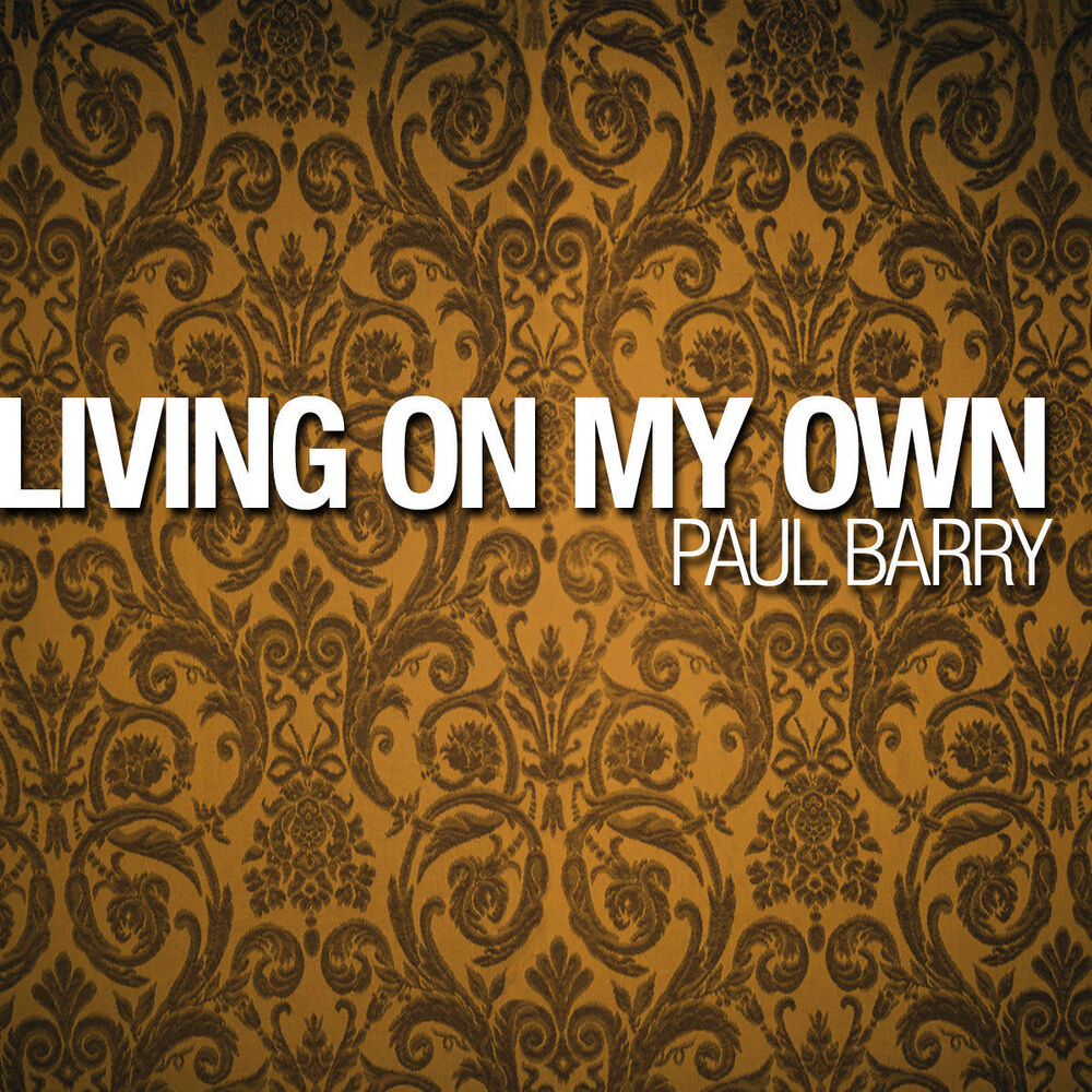 Picture of Paul Barry - Living On My Own (MP3 Single)