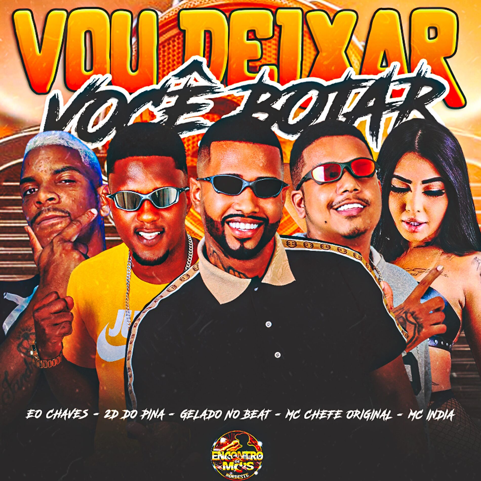 Album cover of Vou Deixar Você Botar