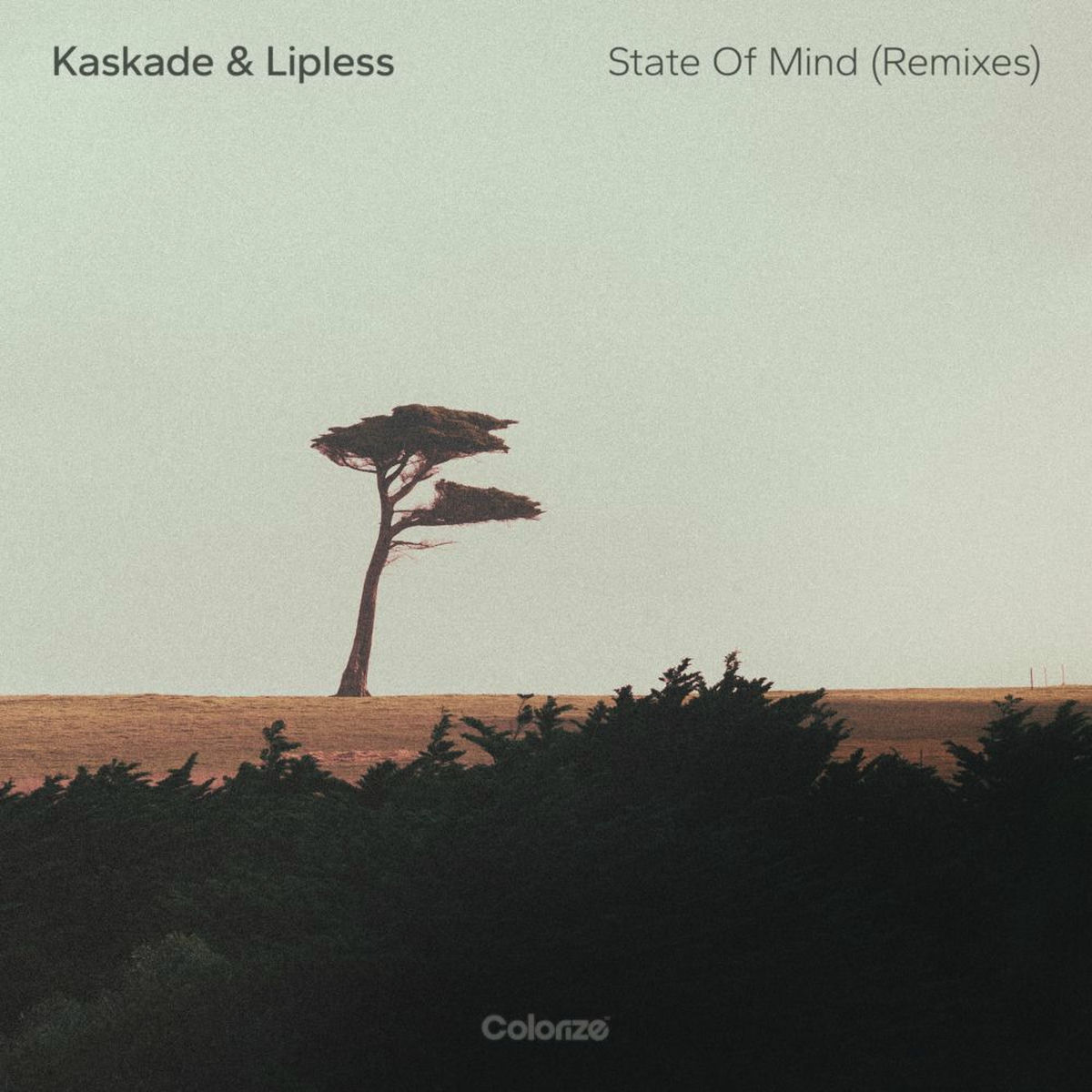 Album cover of State Of Mind
