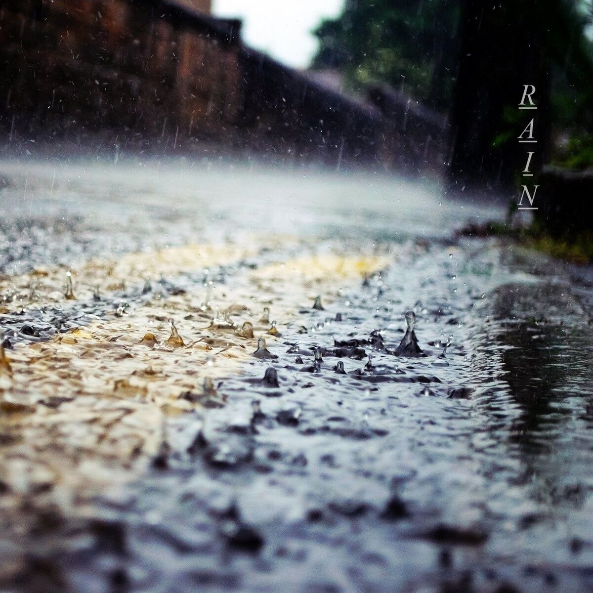 Album cover of Rain