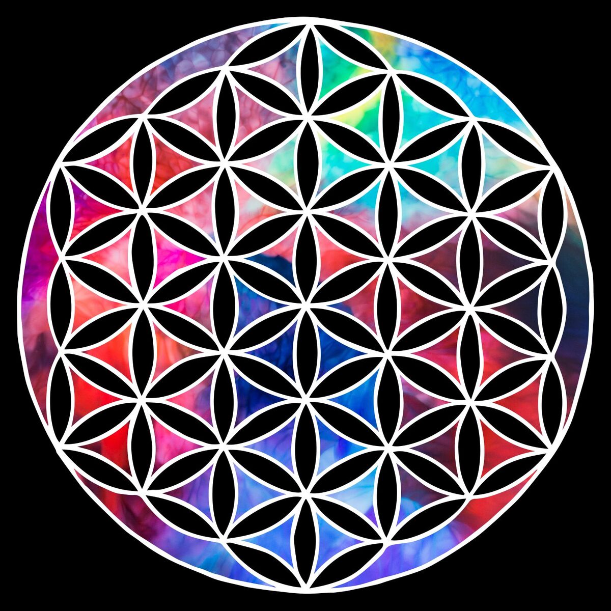Album cover of Unique Experience