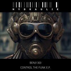 Cover of Control The Funk