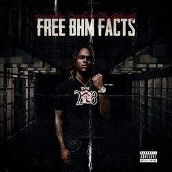 Cover of Free BHM Facts