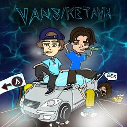 Cover of Vans/Ketamin