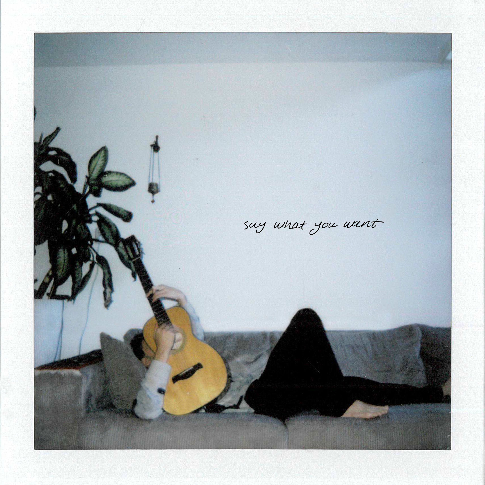 Album cover of Say What You Want
