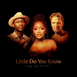 Cover of Little Do You Know (The Remixes)