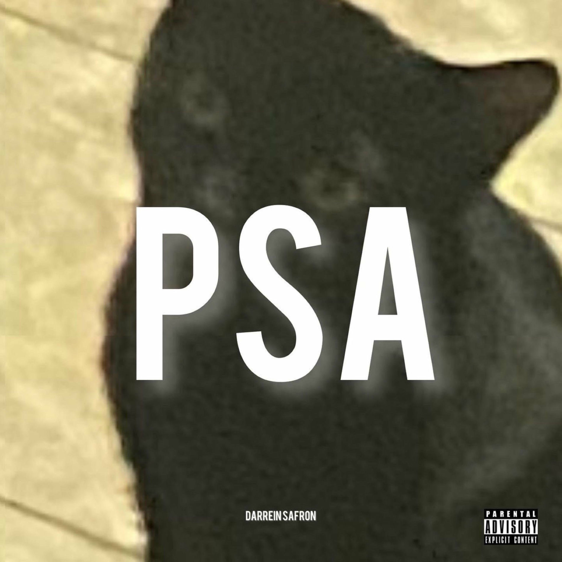 Album cover of psa
