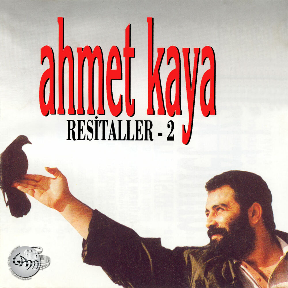 Picture of Resitaller 2