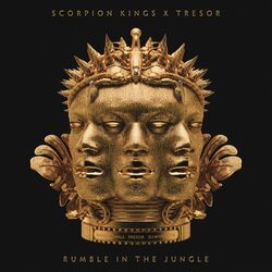 Cover of RUMBLE IN THE JUNGLE