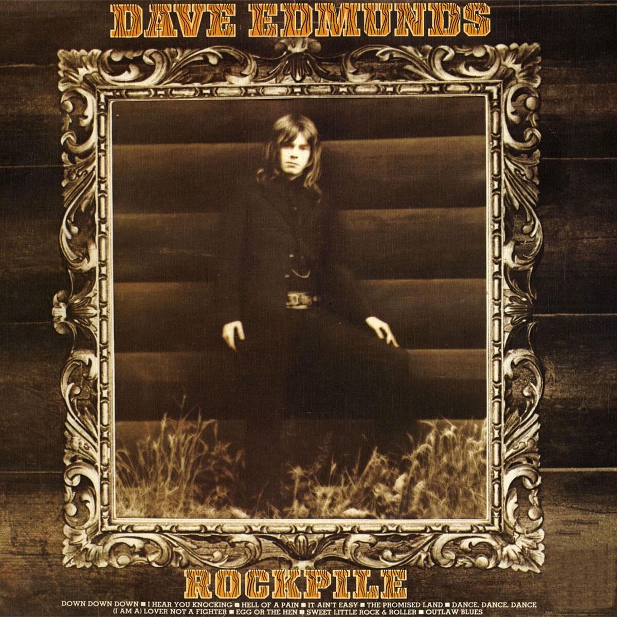 Album cover of The Promised Land