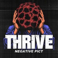 Cover of Negative Pict
