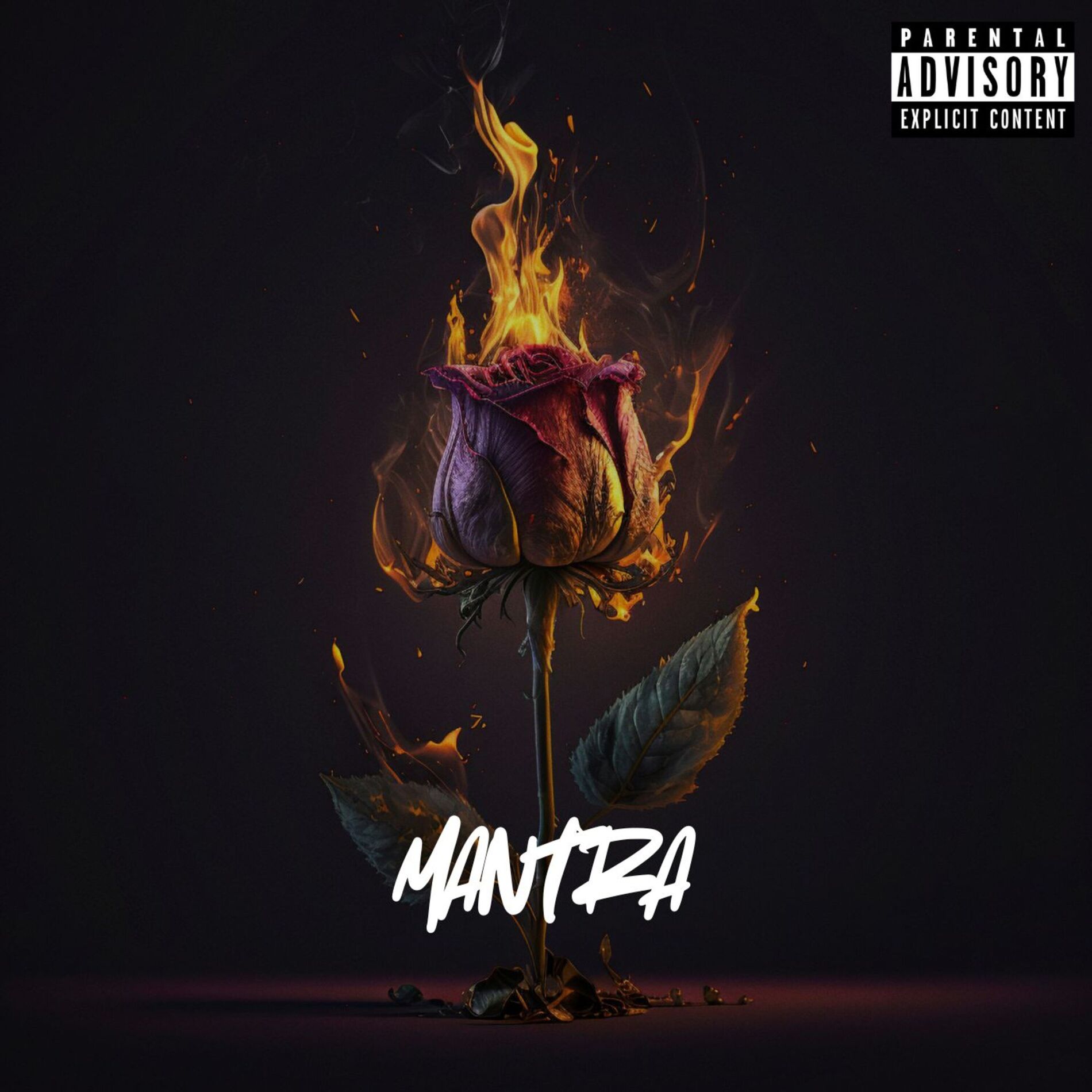 Album cover of Mantra