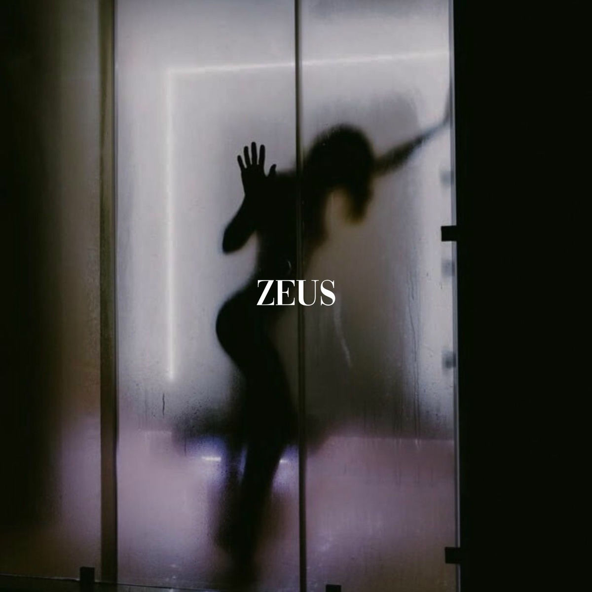Album cover of Zeus