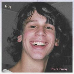 Cover of Black Friday