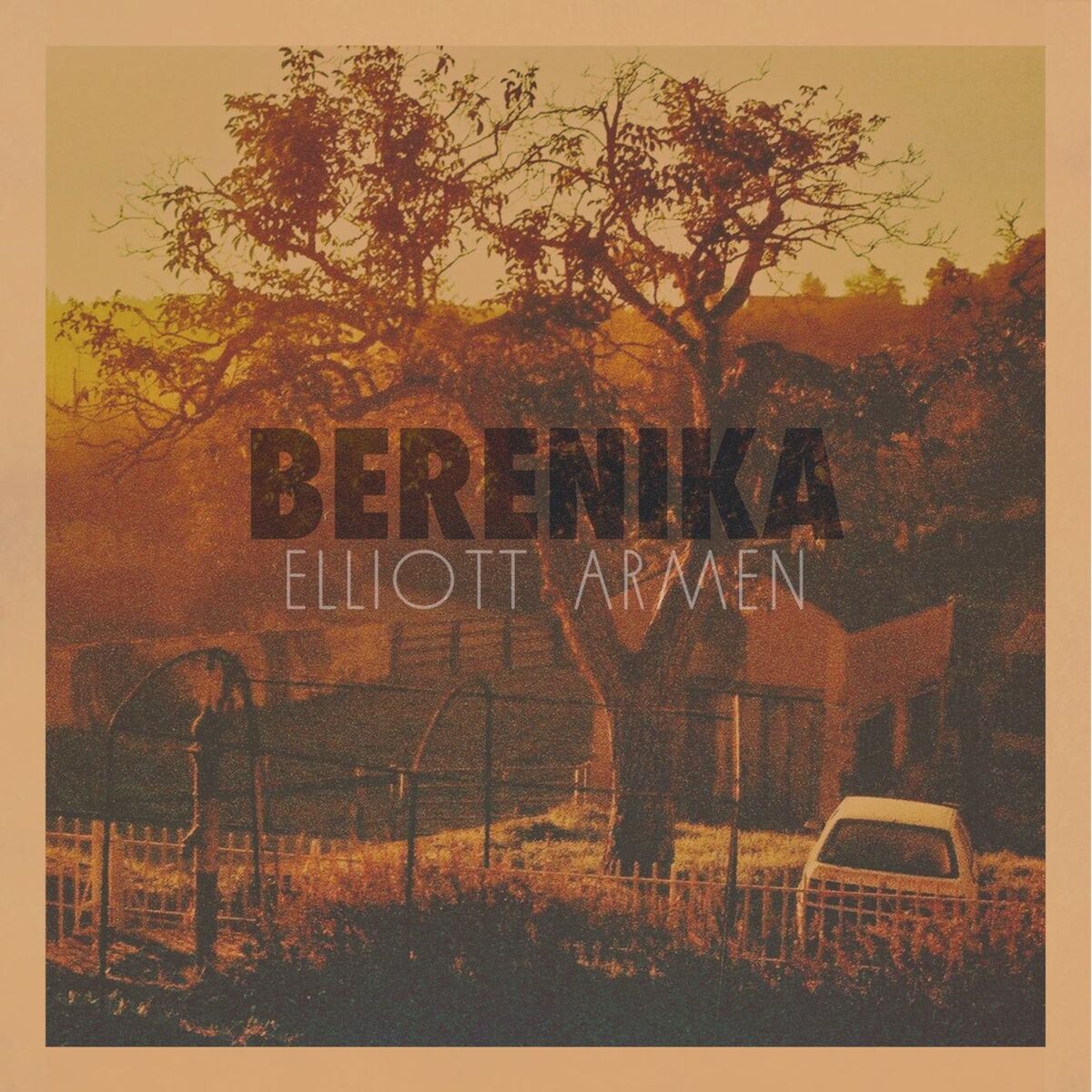 Album cover of Berenika