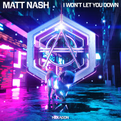 Cover of I Won't Let You Down