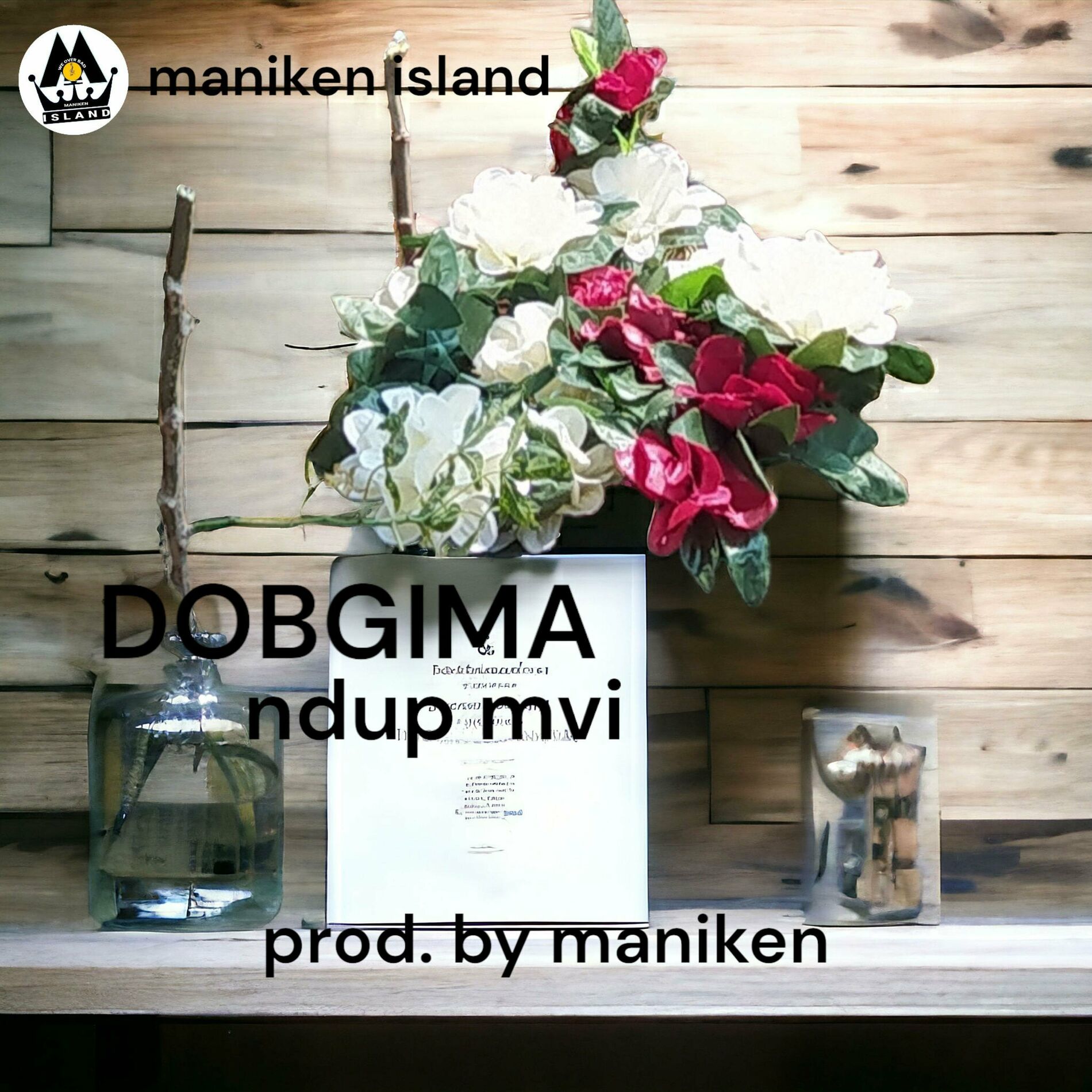 Album cover of Ndup Mvi