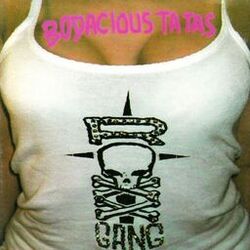 Cover of Bodacious Ta Tas: The Best of Roxx Gang