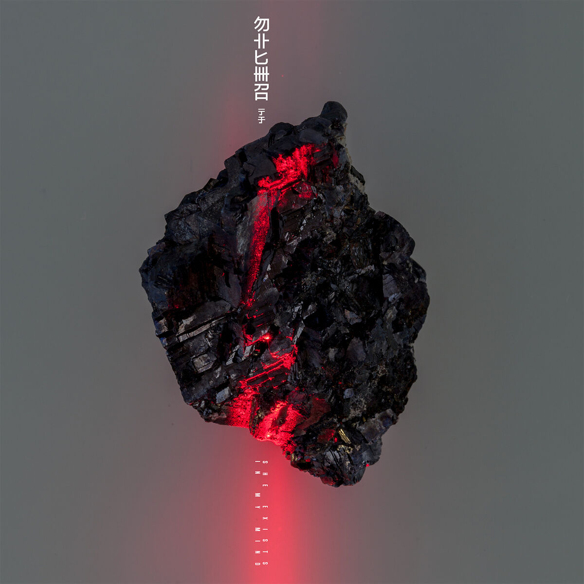 Album cover of She Exists in My Mind