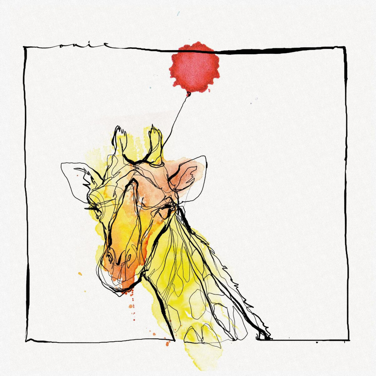 Album cover of Palomita