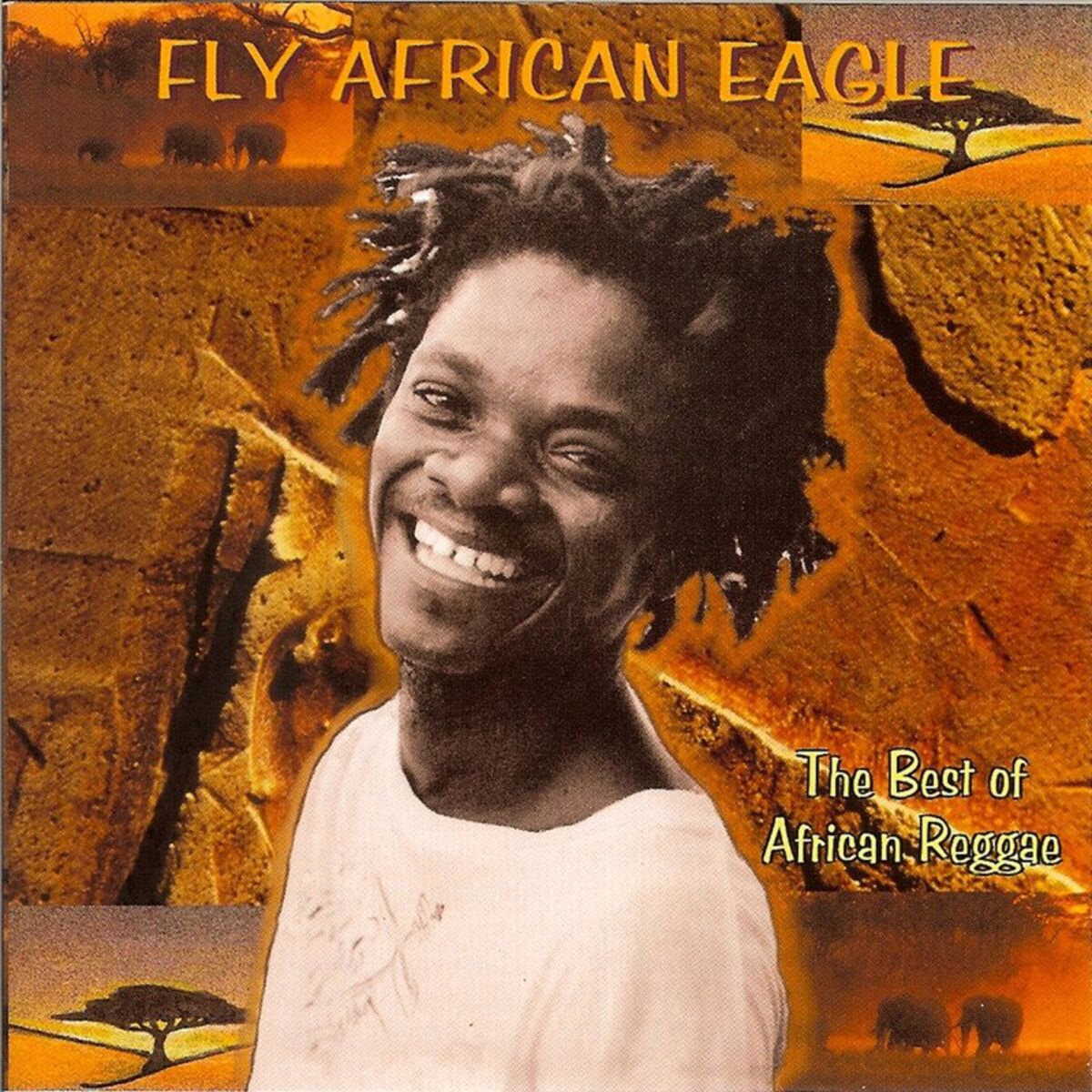 Album cover of Fly African Eagle: The Best Of African Reggae