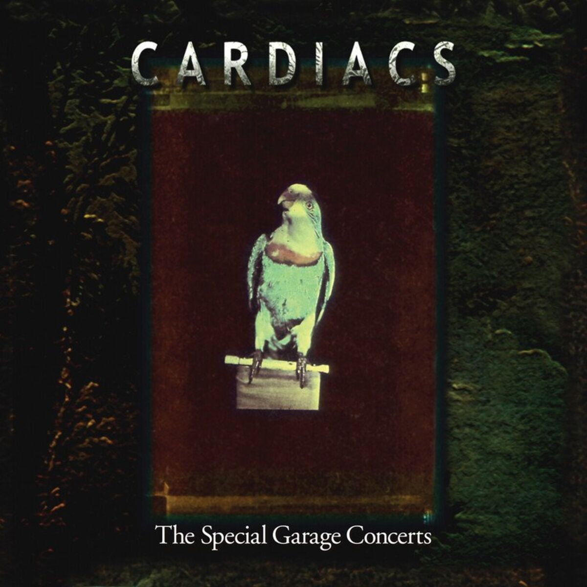 Album cover of The Special Garage Concerts (Live)