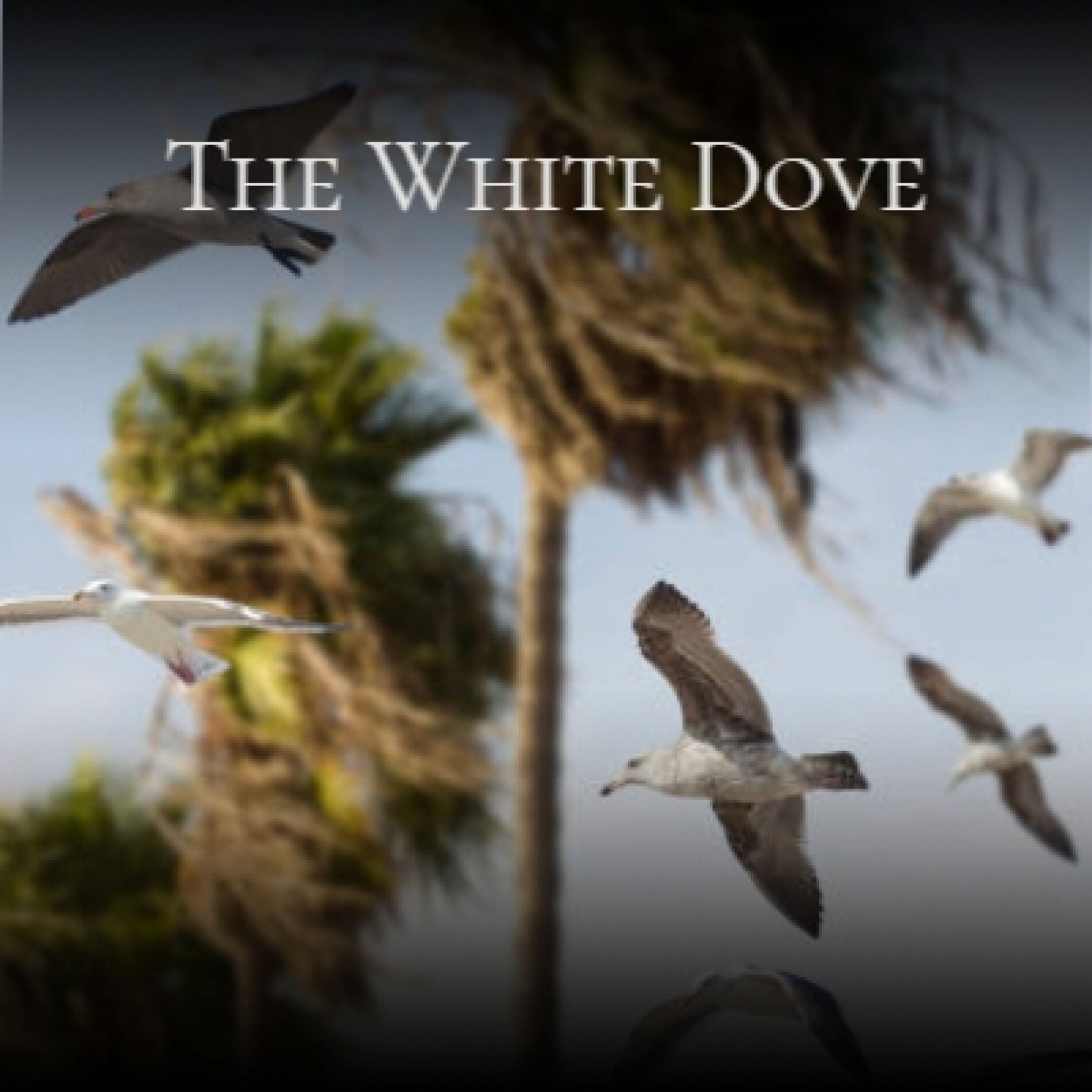 Album cover of The White Dove