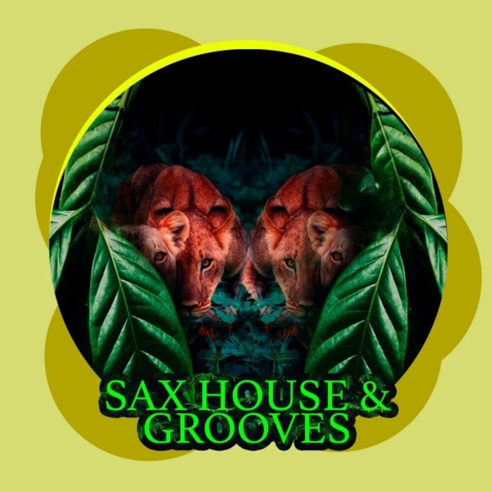Picture of Sax House & Grooves