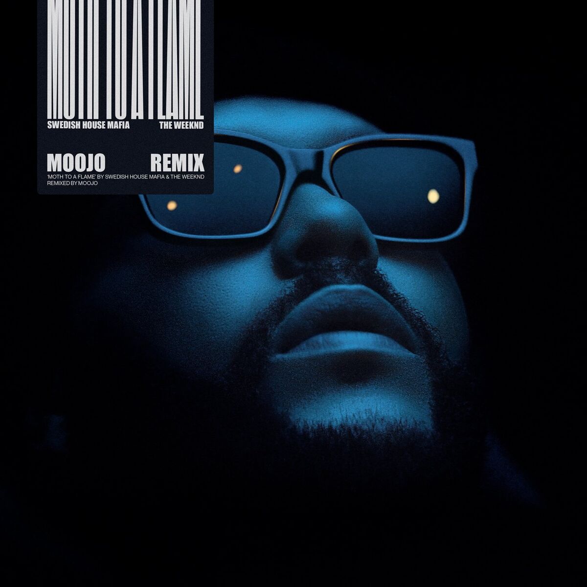 Album cover of Moth To A Flame