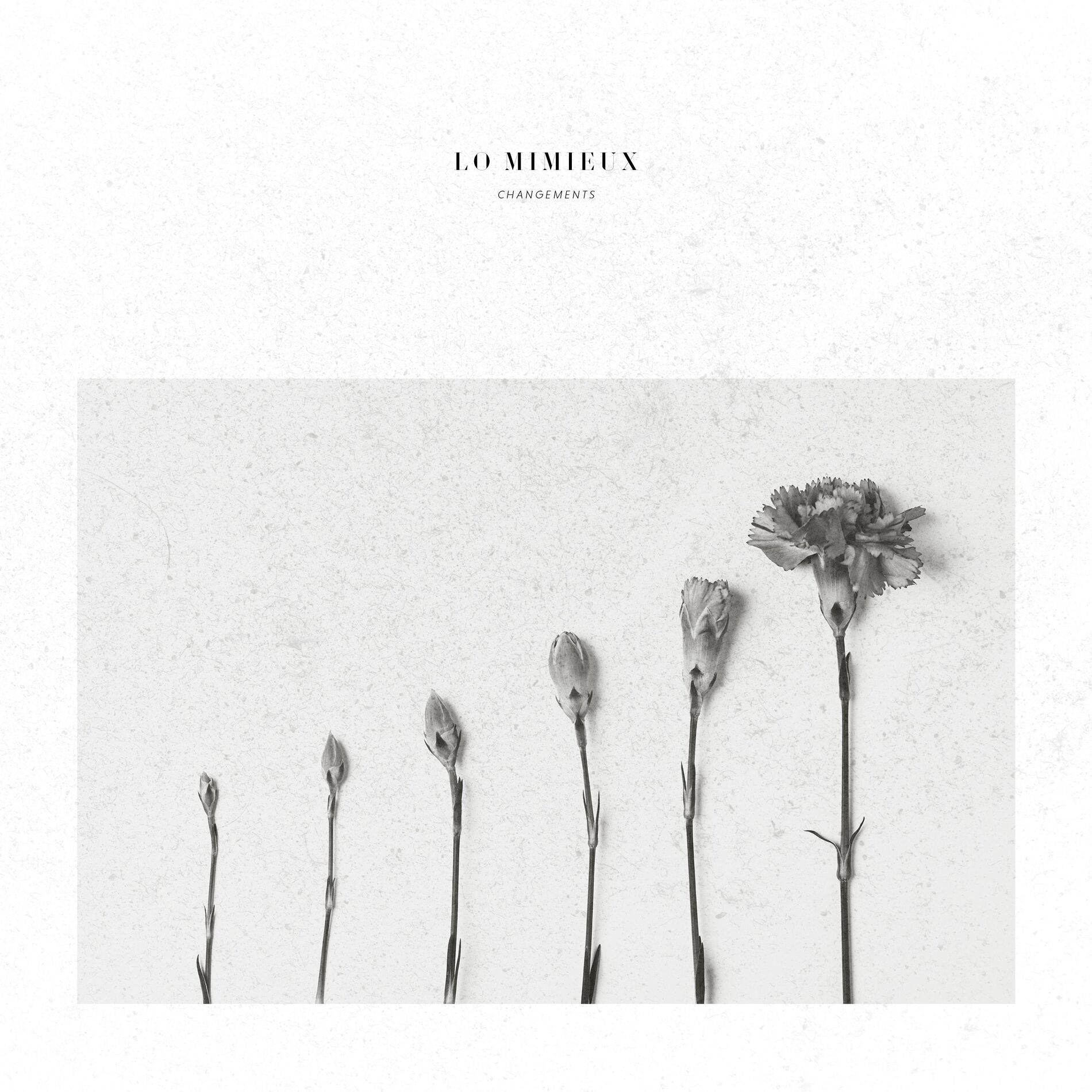 Album cover of Changements